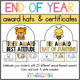 End of Year Awards Hats and Certificates