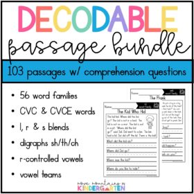 Decodable Passages & Comprehension Questions BUNDLE- CVC, CVCE, Digraphs, Blends