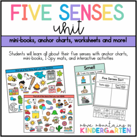 Five Senses Unit with Worksheets and Activities