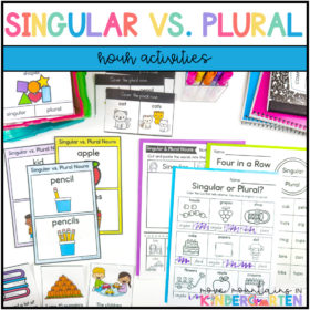 Singular and Plural Nouns Practice Resource